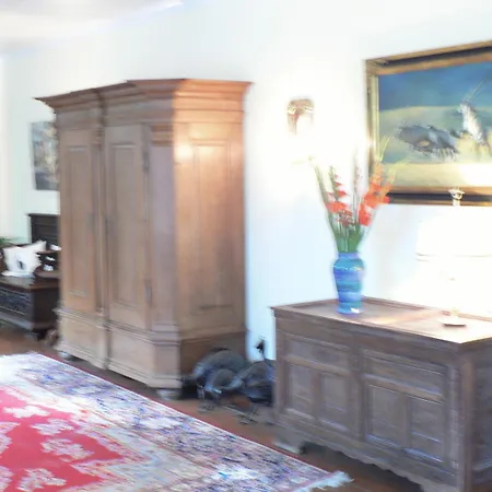 酒店 斯赫克尔酒店加餐厅 埃尔策