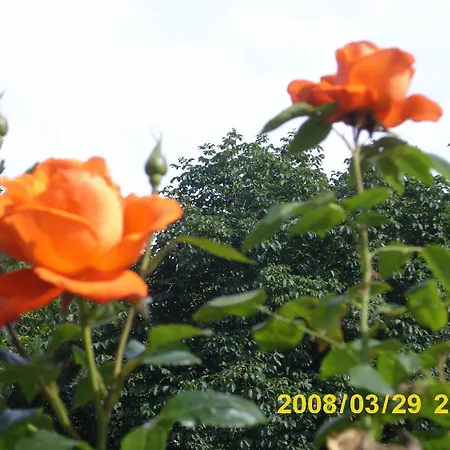 Schoekel's Und Restaurant فندق 3*